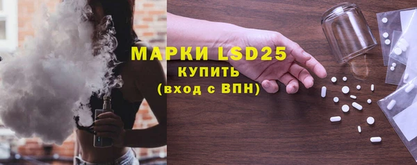 прущие грибы Горно-Алтайск