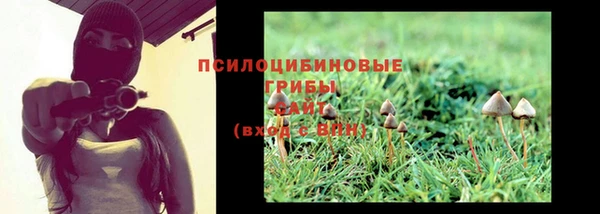 мескалин Горняк