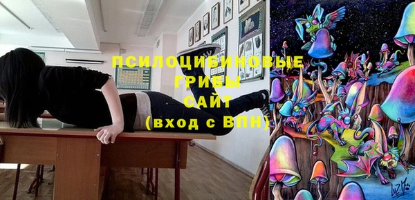 прущие грибы Горно-Алтайск