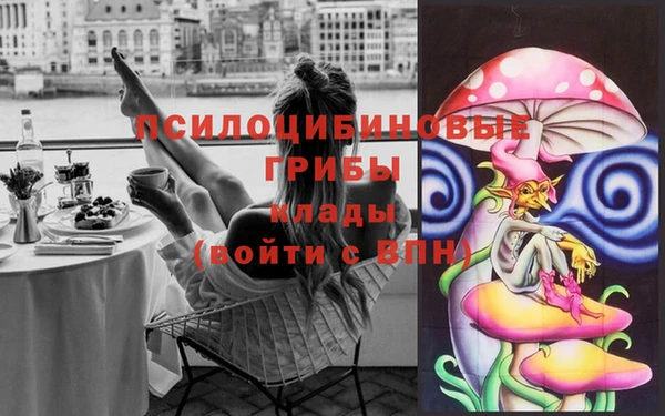 Альфа ПВП Волосово
